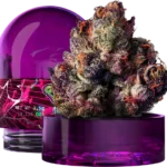 Rainbow Gelato Wizard Trees Kaufen Online